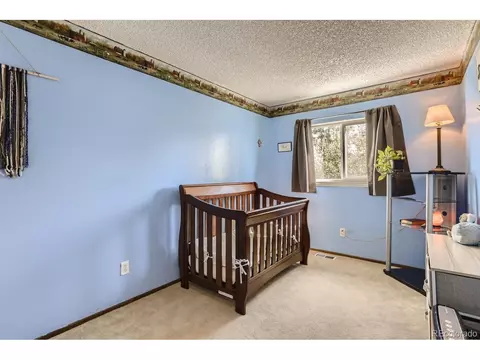 764 Madison Way, Bennett, CO 80102 photo 19