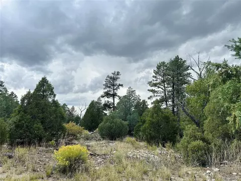 Pawnee Pl, Mosca, CO 81146 photo 5