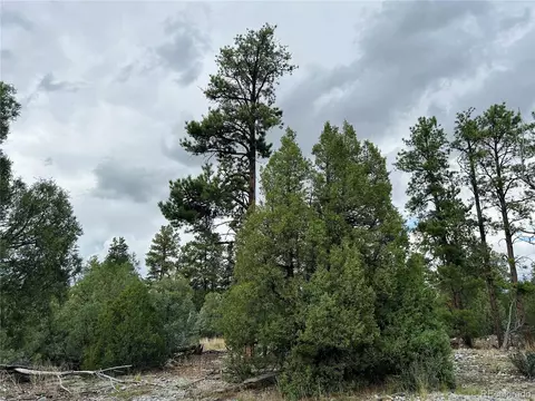 Pawnee Pl, Mosca, CO 81146 photo 10