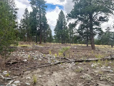 Pawnee Pl, Mosca, CO 81146 photo 7