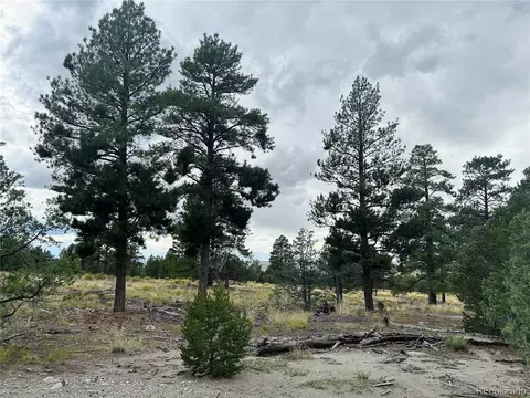 Pawnee Pl, Mosca, CO 81146 photo 9