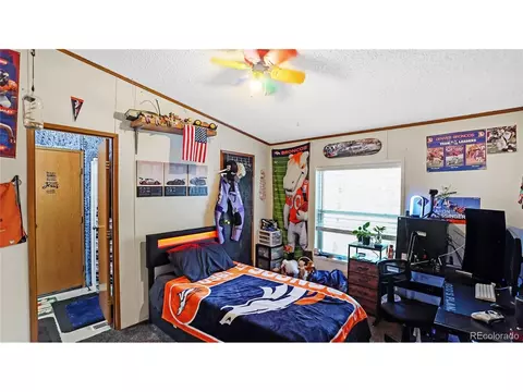 76 S Pine Dr, Bailey, CO 80421 photo 22