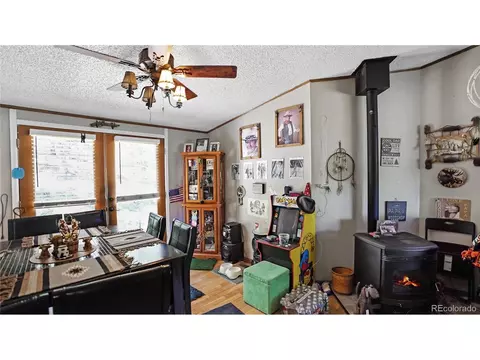 76 S Pine Dr, Bailey, CO 80421 photo 8