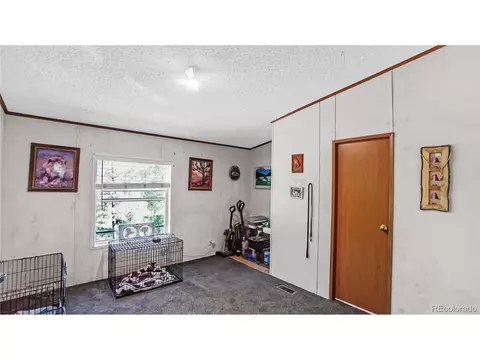 76 S Pine Dr, Bailey, CO 80421 photo 9