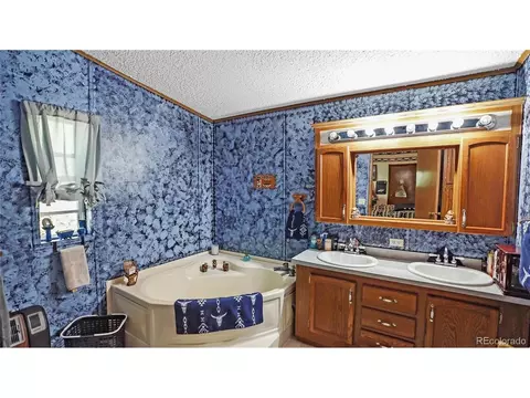 76 S Pine Dr, Bailey, CO 80421 photo 4