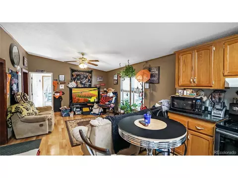 76 S Pine Dr, Bailey, CO 80421 photo 12