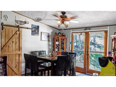 76 S Pine Dr, Bailey, CO 80421 photo 6