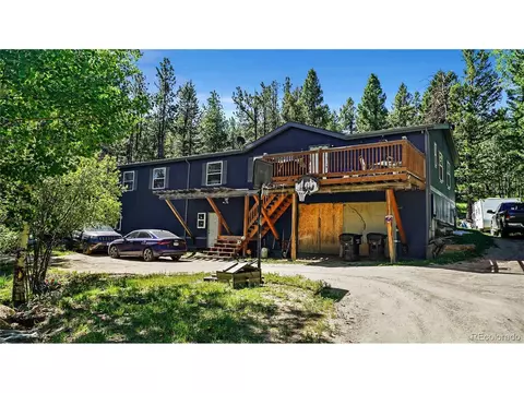76 S Pine Dr, Bailey, CO 80421 photo 26