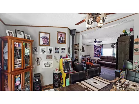 76 S Pine Dr, Bailey, CO 80421 photo 7
