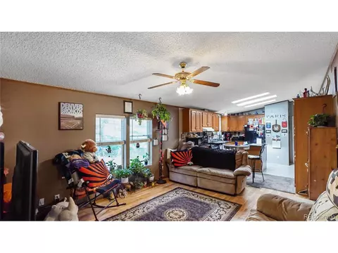 76 S Pine Dr, Bailey, CO 80421 photo 17