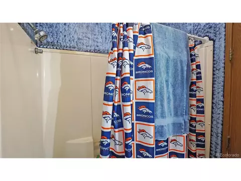 76 S Pine Dr, Bailey, CO 80421 photo 19