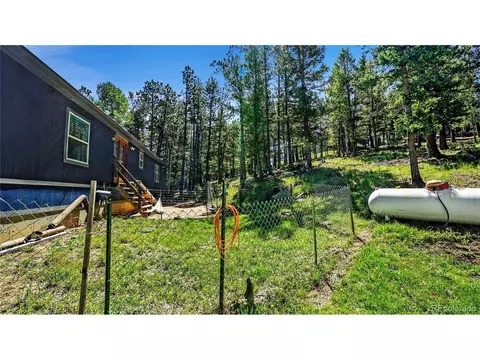 76 S Pine Dr, Bailey, CO 80421 photo 28