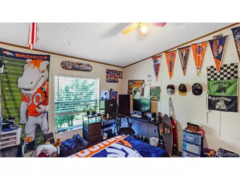 76 S Pine Dr, Bailey, CO 80421 photo 21