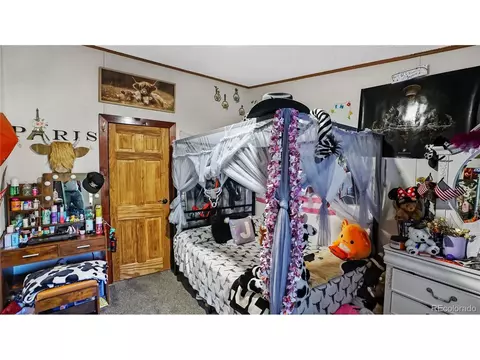76 S Pine Dr, Bailey, CO 80421 photo 14