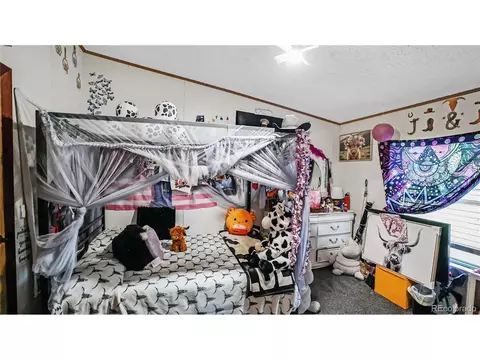 76 S Pine Dr, Bailey, CO 80421 photo 13