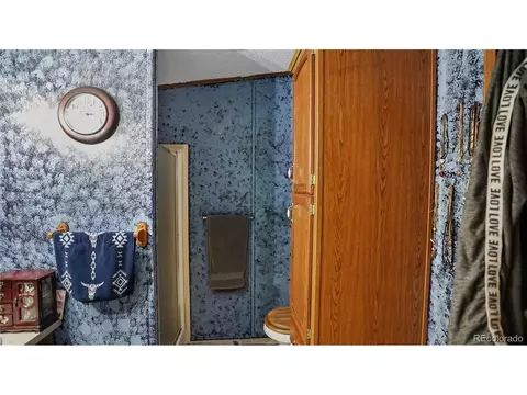 76 S Pine Dr, Bailey, CO 80421 photo 5