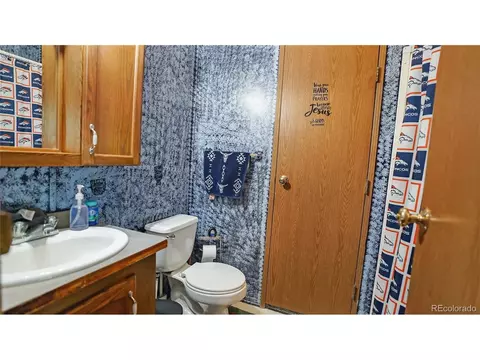 76 S Pine Dr, Bailey, CO 80421 photo 18
