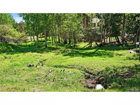 76 S Pine Dr, Bailey, CO 80421 photo 27