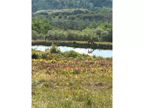 View/Area - 767 Jack Rabbit Rd, Craig, CO 81625 photo 1 of 2