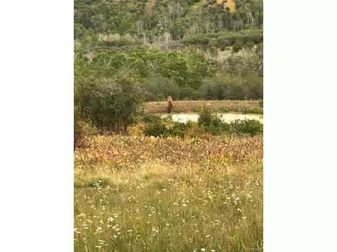 View/Area - 767 Jack Rabbit Rd, Craig, CO 81625 photo 2 of 2
