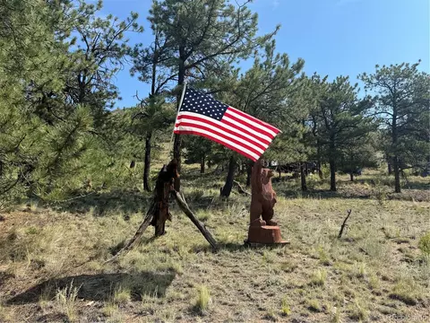 Undisclosed, Hartsel, CO 80449 photo 5