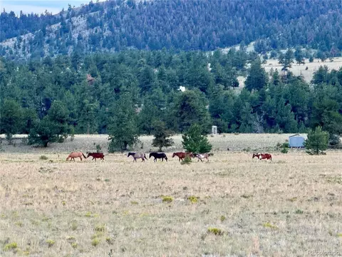 Undisclosed, Hartsel, CO 80449 photo 7