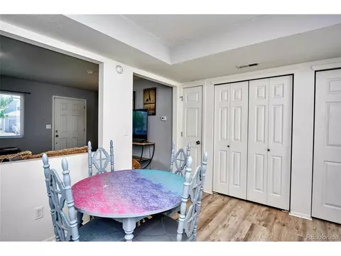 18617 E 45th Pl, Denver, CO 80249 photo 10