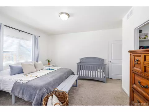1002 Traildust Dr, Milliken, CO 80543 photo 16