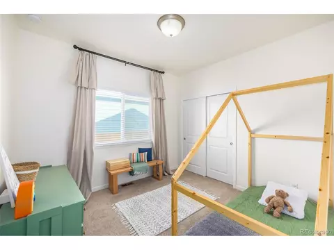 1002 Traildust Dr, Milliken, CO 80543 photo 20