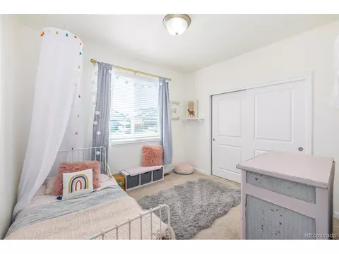 1002 Traildust Dr, Milliken, CO 80543 photo 23