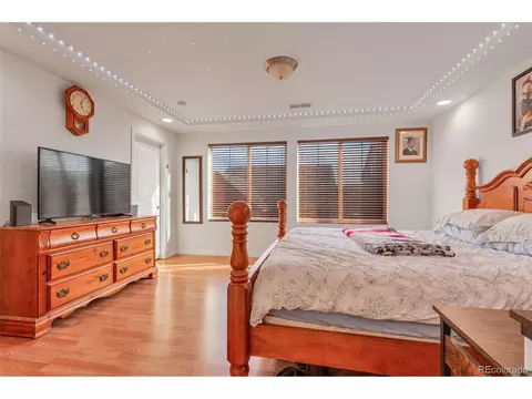 18090 E 47th Dr, Denver, CO 80249 photo 16