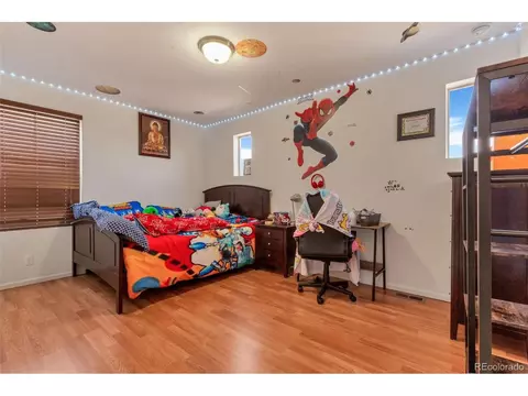 18090 E 47th Dr, Denver, CO 80249 photo 22
