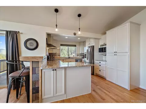 135 Overlook Dr, Bailey, CO 80421 photo 11