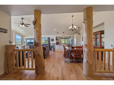 135 Overlook Dr, Bailey, CO 80421 photo 3