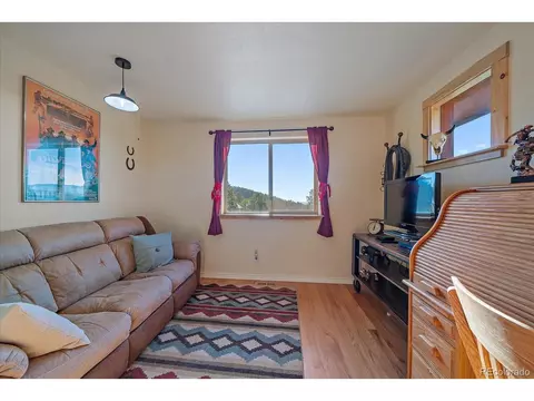 135 Overlook Dr, Bailey, CO 80421 photo 18