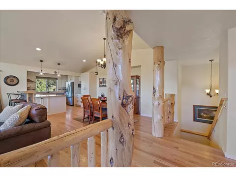 135 Overlook Dr, Bailey, CO 80421 photo 2