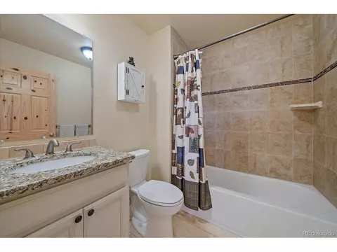 135 Overlook Dr, Bailey, CO 80421 photo 19