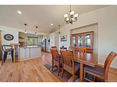 135 Overlook Dr, Bailey, CO 80421 photo 10