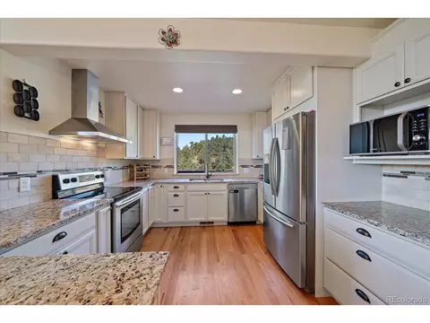 135 Overlook Dr, Bailey, CO 80421 photo 13