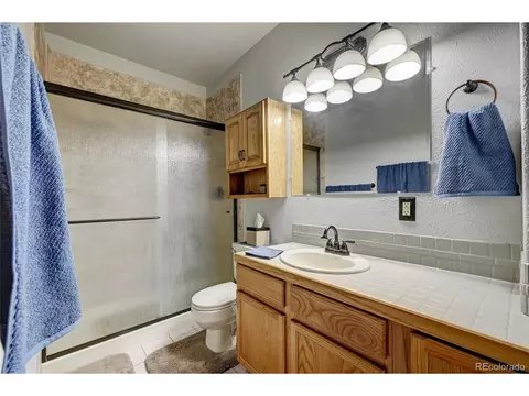 517 Mockingbird Trl, Bailey, CO 80421 photo 17