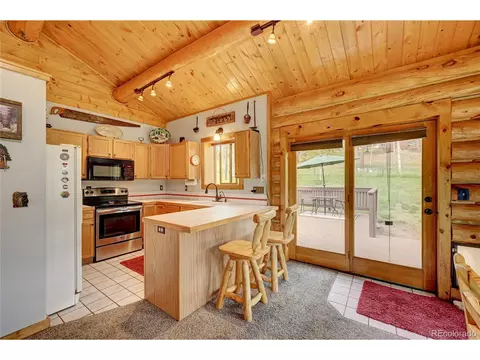 517 Mockingbird Trl, Bailey, CO 80421 photo 13