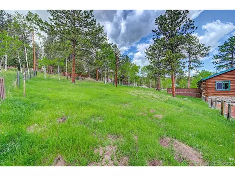 517 Mockingbird Trl, Bailey, CO 80421 photo 32