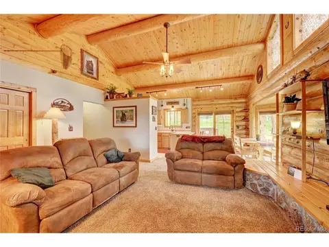 517 Mockingbird Trl, Bailey, CO 80421 photo 10
