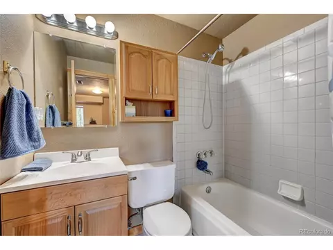 517 Mockingbird Trl, Bailey, CO 80421 photo 22