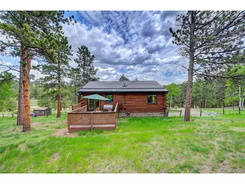 517 Mockingbird Trl, Bailey, CO 80421 photo 28