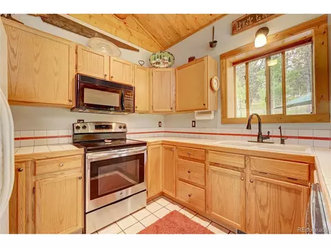 517 Mockingbird Trl, Bailey, CO 80421 photo 14