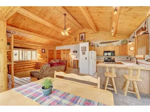 517 Mockingbird Trl, Bailey, CO 80421 photo 12