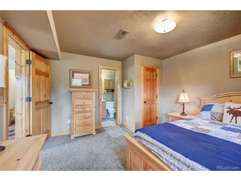 517 Mockingbird Trl, Bailey, CO 80421 photo 21