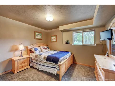 517 Mockingbird Trl, Bailey, CO 80421 photo 20