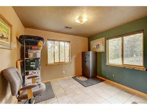 517 Mockingbird Trl, Bailey, CO 80421 photo 23